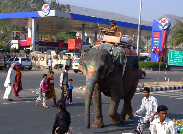 Слон на бензоколонке близ Jal Mahal