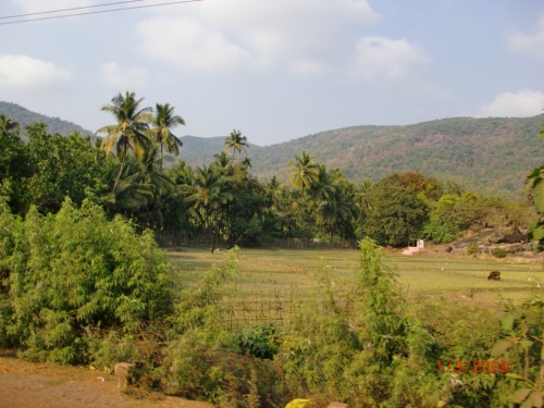 Обратно в Карвар Обратно в Карвар