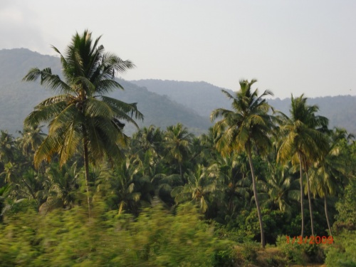 Обратно в Карвар Обратно в Карвар
