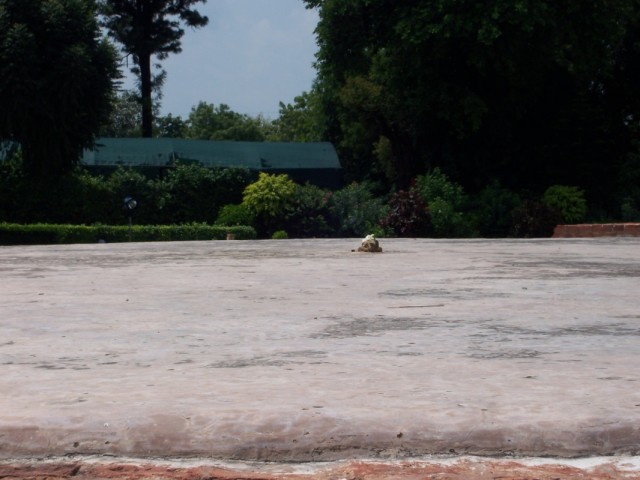 Сарнатх Олений Парк Ступа Дхармараджика