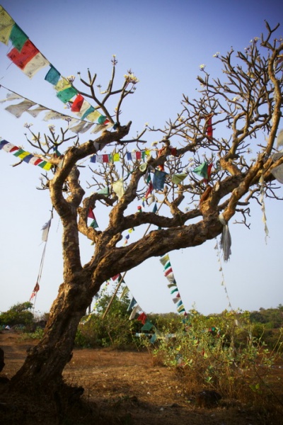 wind reading mantras
