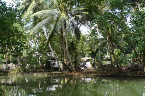 Backwaters