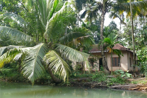 Backwaters
