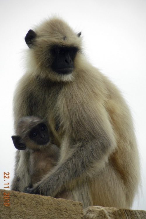 Мамочка с малышом Мамочка с малышом