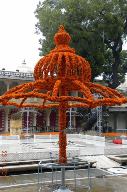 Вот такая красота была во дворе Вот такая красота была во дворе