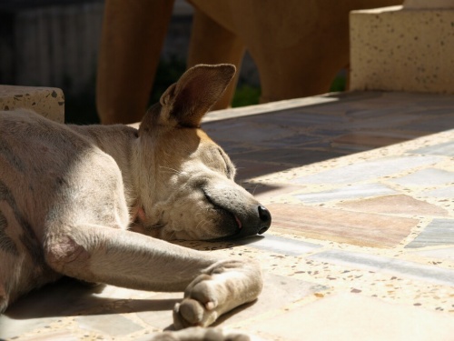 Фото 14 Фото 14