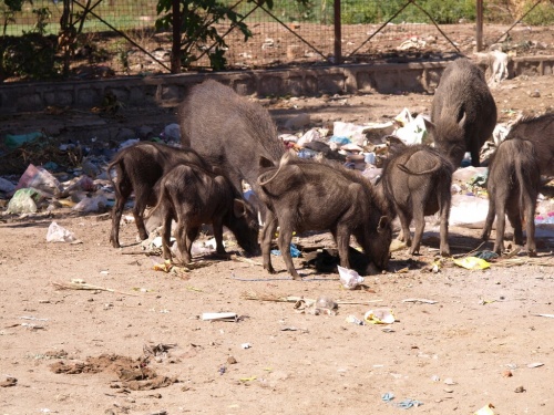 Фото 10 Фото 10