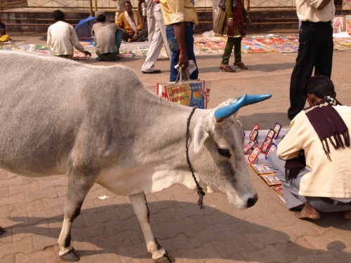 Фото 13 Фото 13