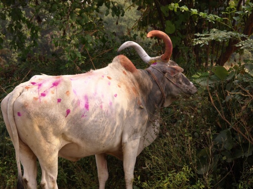 Фото 6 Фото 6