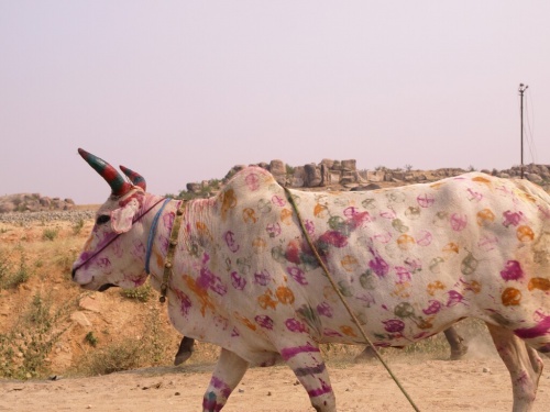 Фото 7 Фото 7