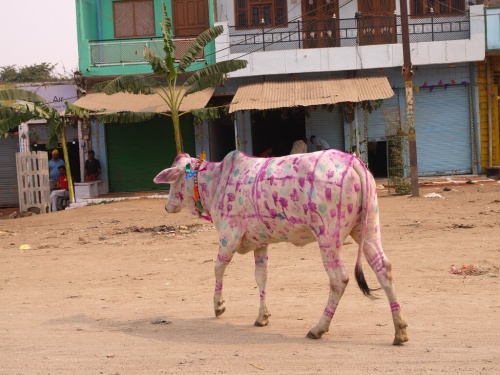 Фото 8 Фото 8