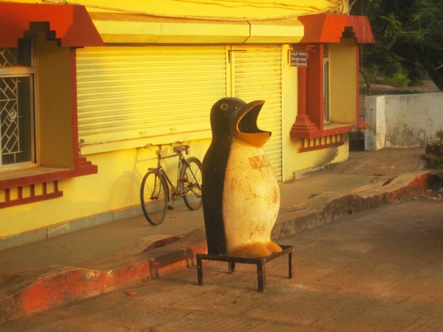 Пингвин, питающийся мусором