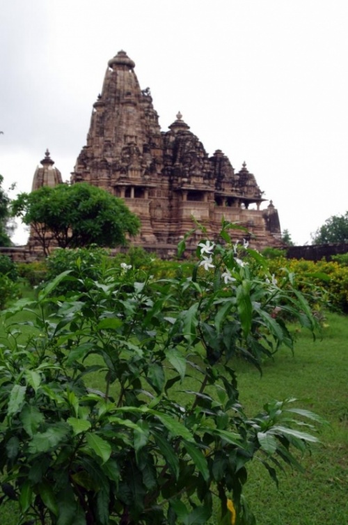 Фото 6 Фото 6