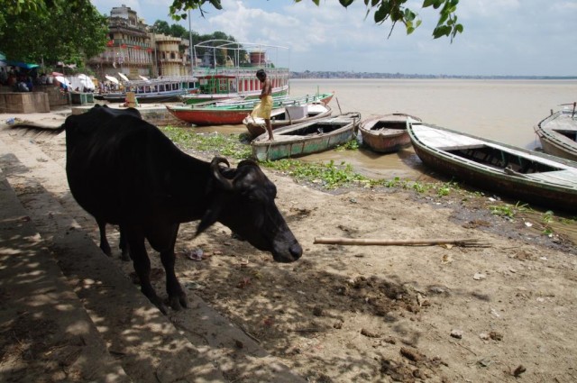 Фото 8 Фото 8