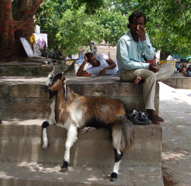 Фото 9 Фото 9