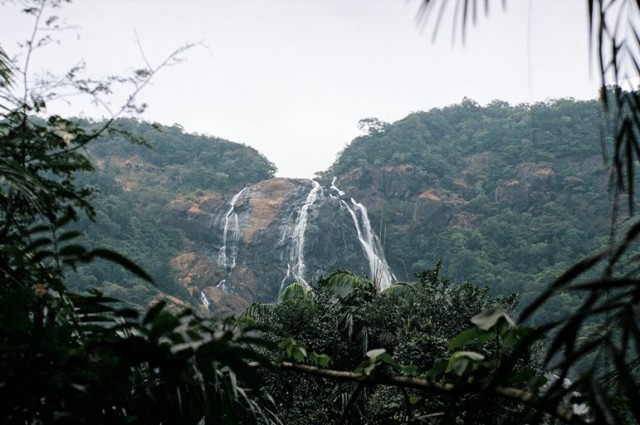 Словил в просвете зарослей Словил в просвете зарослей