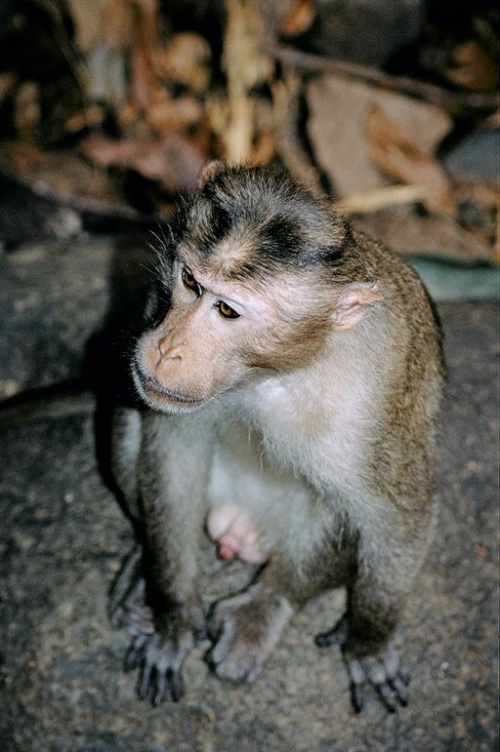 Сразу видно - парень! Сразу видно - парень!