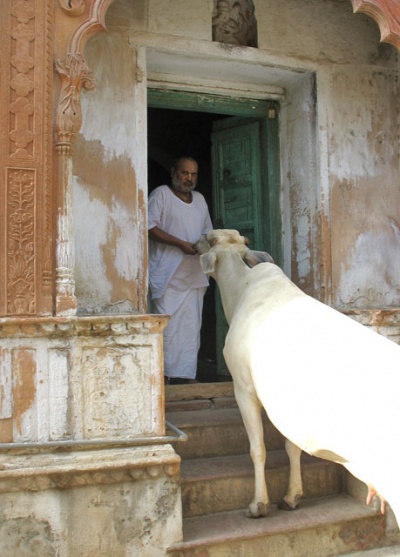 Гостья Гостья