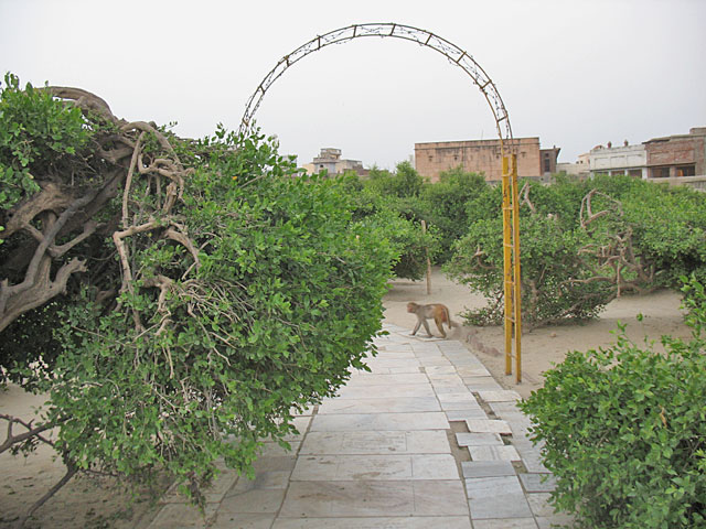 В саду Сева-кундж В саду Сева-кундж