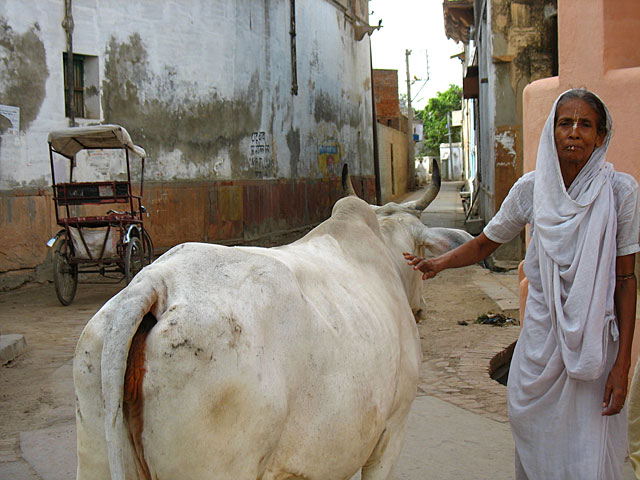 Матушка-вайшнави Матушка-вайшнави