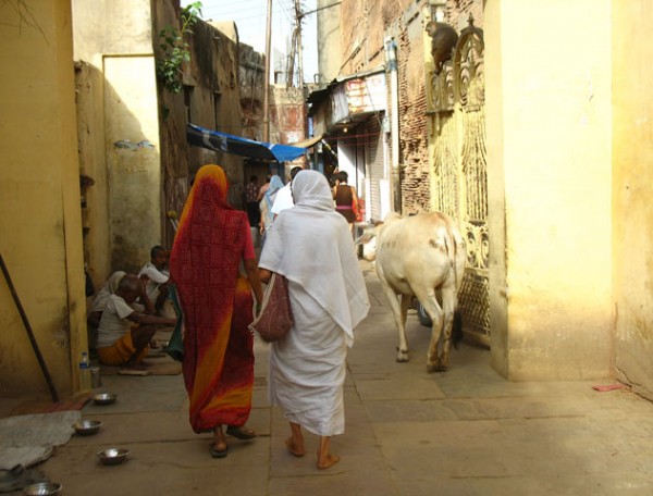 Паломницы. На выходе из сада Нидхуван Паломницы. На выходе из сада Нидхуван