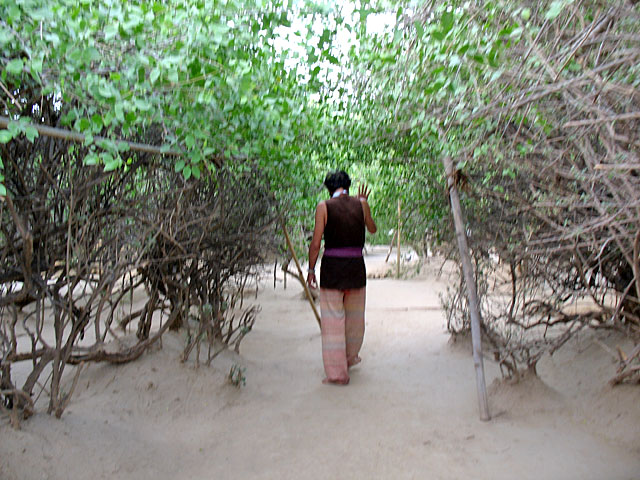 В саду Нидхуван В саду Нидхуван