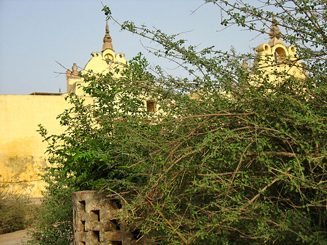 В саду Нидхиван В саду Нидхиван