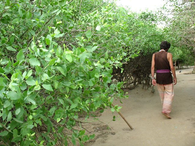 В саду Нидхуван В саду Нидхуван