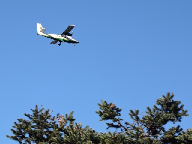 Над пихтами. Над пихтами.