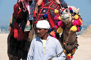 Ярмарка верблюдов в Пушкаре (штат Раджастан)