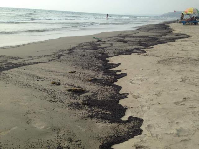 () Natalia Laricheva