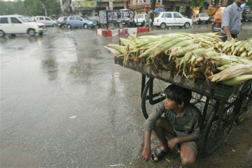 в укрытии от дождя в укрытии от дождя