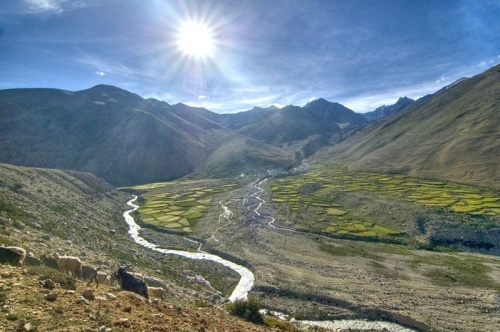 Фото 1 Фото 1