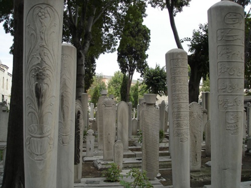    .      (14941566)      (  ,