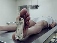 Фото 1 Фото 1