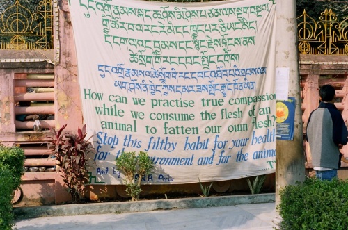  Tibetans for Vegetarian Society