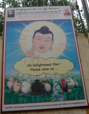 плакаты Tibetans for Vegetarian Society