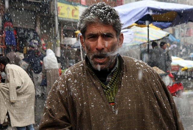 Фото 1 Фото 1