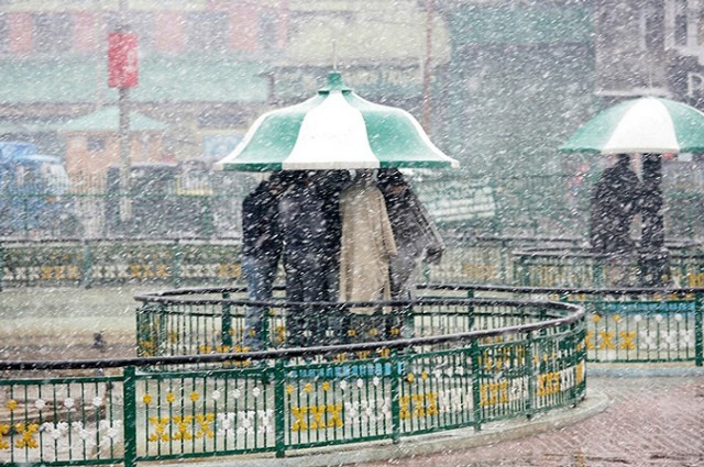 Фото 2 Фото 2