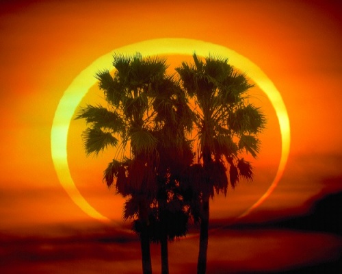 Фото 1 Фото 1