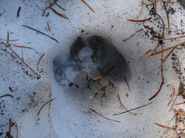 Фото 1 Фото 1