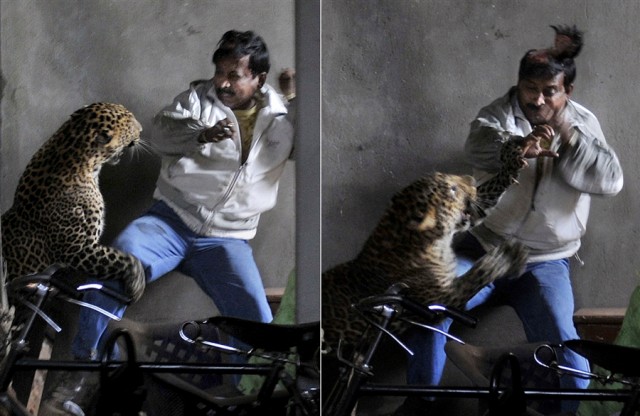 Manas Paran / The Sunday Indian via AP